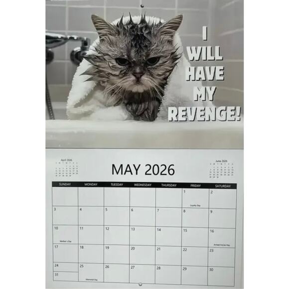 2026 Pissed Off Cats Calendar Funny - Picture 4 of 8